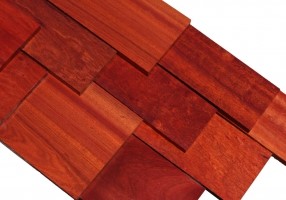 Bloodwood