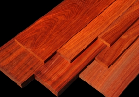 Padauk